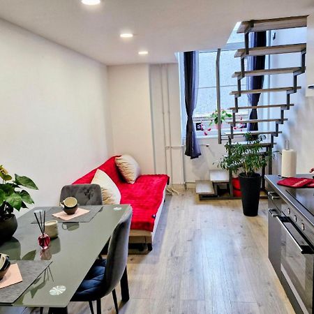 Ljubljana Nest- Centre, Free Parking- Renovated August 2024 Apartment Екстериор снимка
