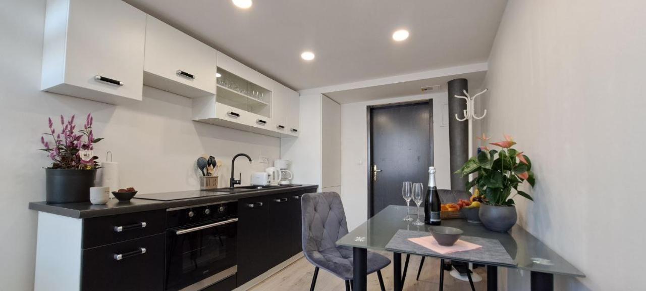 Ljubljana Nest- Centre, Free Parking- Renovated August 2024 Apartment Екстериор снимка